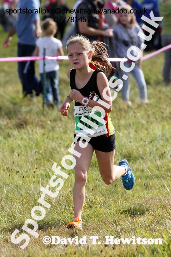 Girls under-13s, North East Harrier League, Cramlington. Photo: David T. Hewitson/Sports for All Pics